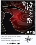 小说：暗之路，作者：暗忆