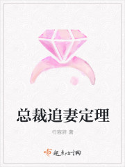 小说：总裁追妻定理，作者：行容辞