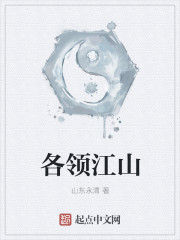 小说：各领江山，作者：山东永清