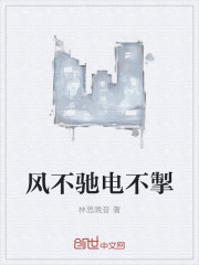小说：风不驰电不掣，作者：林思晚音