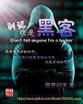 小说：别说我是黑客，作者：借梦问天
