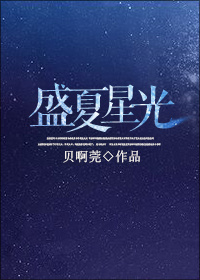 小说：盛夏星光，作者：贝啊莞