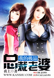 小说：我的极品总裁老婆，作者：夜上