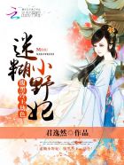 小说：迷糊小野妃：腹黑冷王，劫色！，作者：君逸然