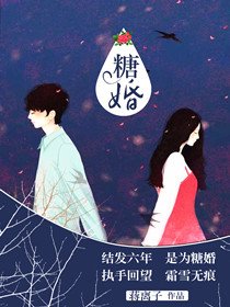 小说：糖婚，作者：蒋离子.