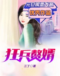 小说：狂兵赘婿，作者：三丁