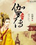 小说：独孤皇后伽罗传，作者：良择木