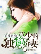 小说：首席霸爱：莫少的独宠娇妻，作者：柴火