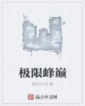 小说：极限峰巅，作者：横空不出世