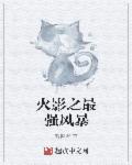 小说：火影之最强风暴，作者：听枫者