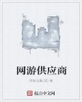 小说：网游供应商，作者：残笔点墨.QD