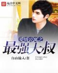 小说：爱情公寓之最强大叔，作者：自由输入