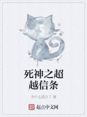 小说：死神之超越信条，作者：为什么团灭了
