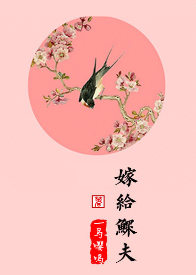 小说：嫁给鳏夫，作者：一鸟嘤鸣