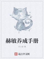小说：赫敏养成手册，作者：月小厨