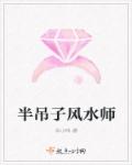 小说：半吊子风水师，作者：辛小咪