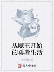 小说：从魔王开始的勇者生活，作者：天光透云