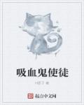 小说：吸血鬼使徒，作者：H原子
