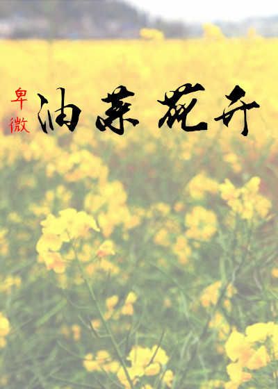 小说：卑微：油菜花开，作者：1999梦未醒的人