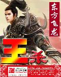 小说：王杀，作者：东方飞龙
