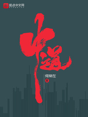 小说：中道，作者：何常在