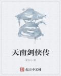 小说：天南剑侠传，作者：夏剑心