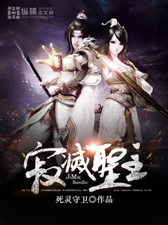 小说：寂灭圣主，作者：死灵守卫