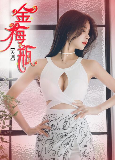 小说：金梅瓶，作者：天渊