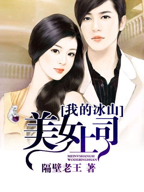 小说：我的冰山美女上司，作者：隔壁老王