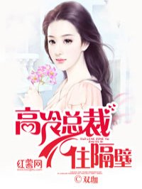 小说：高冷总裁住隔壁，作者：双珈