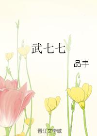 小说：武七七，作者：品丰