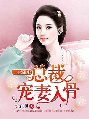 小说：一夜甜蜜：总裁宠妻入骨，作者：九色凤