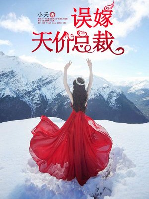 小说：误嫁天价总裁，作者：小夭