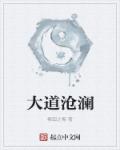小说：大道沧澜，作者：梅国之梅