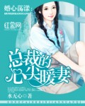 小说：婚心荡漾：总裁的心尖暖妻，作者：水无心
