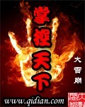 小说：掌控天下，作者：大雪崩
