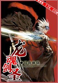 小说：龙魂剑圣，作者：暗夜幽殇