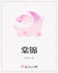 小说：棠锦，作者：玖拾陆