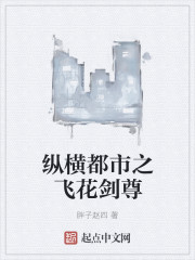 小说：纵横都市之飞花剑尊，作者：胖子赵四