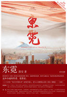 小说：东霓，作者：笛安