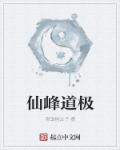 小说：仙峰道极，作者：帝国杨公子