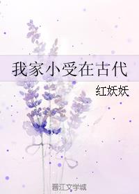 小说：我家小受在古代，作者：红妖妖