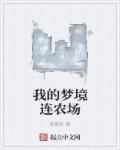 小说：我的梦境连农场，作者：塔莫斯