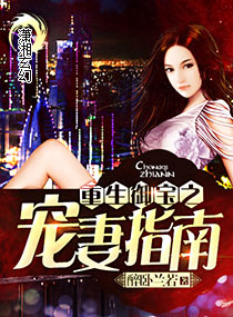 小说：重生御宝之宠妻指南，作者：醉卧兰若