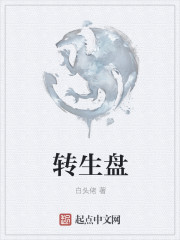 小说：转生盘，作者：白头佬