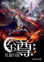 小说：至尊狂暴升级，作者：墨色江南