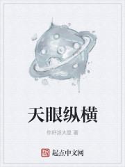 小说：天眼纵横，作者：你好派大星