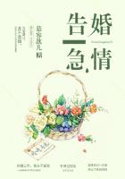 小说：婚情告急，作者：慕容歆儿