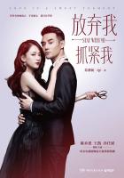 小说：放弃我，抓紧我（陈乔恩、王凯主演），作者：苏静初