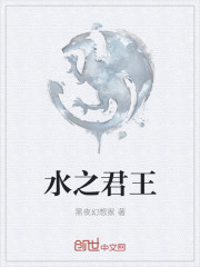 小说：水之君王，作者：黑夜幻想家